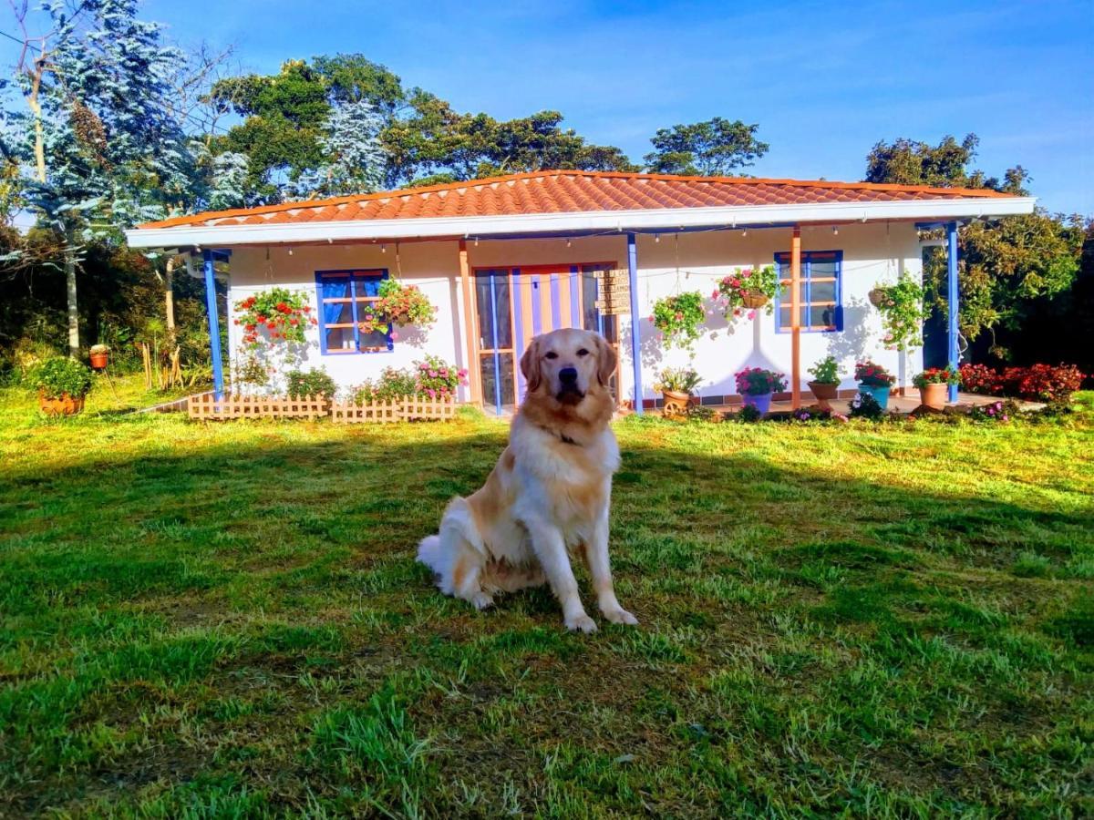 Genesis, Un Lugar Descansar Y Disfrutar